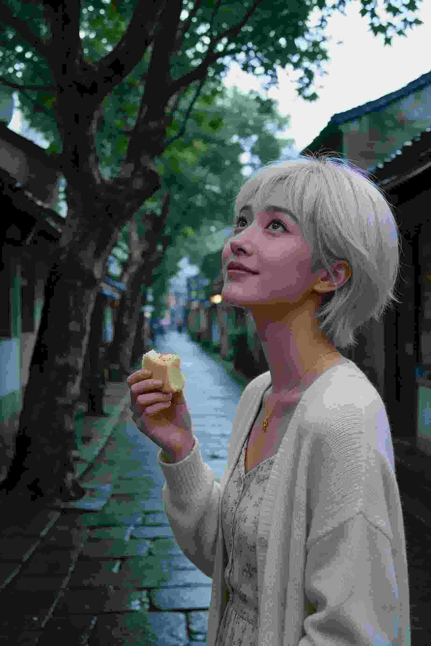 光阴的故事